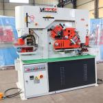 Máy cắt đột liên hợp HIW90- Xy lanh kép