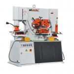 Máy cắt đột liên hợp HIW90- Xy lanh kép